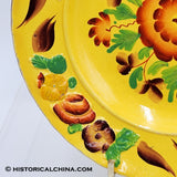 Staffordshire Canary Yellow Hand Painted Floral Decorated Plate Circa 1820 LAM-44
