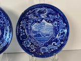 Historical Staffordshire Blue Eagle Over Panel Cup and Saucer CB