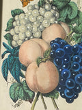 PB5 Original Currier & Ives Print “Peaches And Grapes - First Prize