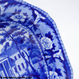 Rare Boston Hospital Beauties of America Series Ridgway Vegetable Dish Historical Blue Staffordshire ZAM-627