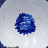 Baltimore & Ohio B&O Railroad Tea Dregs Waste Bowl Historical Blue Staffordshire ZAM-640