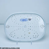 Capitol, Washington Well & Tree Platter Strainer Ridgway Historical Blue Staffordshire ZAM-438
