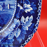 Historical Staffordshire Dark Blue Transferware Esplanade Castle Garden Platter New York ZAM-450