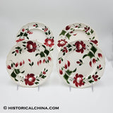 4 Early "Adams Rose" Staffordshire Ceramic Plates Hand Made & Decorated in 1830! LAM-47