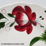 4 Early "Adams Rose" Staffordshire Ceramic Plates Hand Made & Decorated in 1830! LAM-47