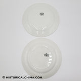 Pair of Late "Adams Rose" Staffordshire Hand Painted Plates Circa 1860 LAM-46