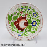Staffordshire "Woods Rose" Hand Paint Decorated Ceramic Plate Made in England Circa 1825 LAM-52