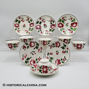 Set of 6 GORGEOUS Scalloped Rim Cups & Saucers "Early Adams Rose" Circa 1825 LAM-54