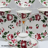 Set of 6 GORGEOUS Scalloped Rim Cups & Saucers "Early Adams Rose" Circa 1825 LAM-54