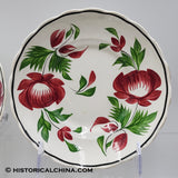 Set of 6 GORGEOUS Scalloped Rim Cups & Saucers "Early Adams Rose" Circa 1825 LAM-54