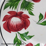 Set of 6 GORGEOUS Scalloped Rim Cups & Saucers "Early Adams Rose" Circa 1825 LAM-54