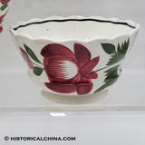 Set of 6 GORGEOUS Scalloped Rim Cups & Saucers "Early Adams Rose" Circa 1825 LAM-54