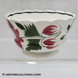 Set of 6 GORGEOUS Scalloped Rim Cups & Saucers "Early Adams Rose" Circa 1825 LAM-54