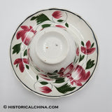 Set of 6 GORGEOUS Scalloped Rim Cups & Saucers "Early Adams Rose" Circa 1825 LAM-54