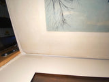 Original Currier & Ives Large Folio Central Park Winter - The Skating Pond Best 50