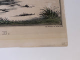 Original Currier & Ives Print The Sleigh Race #90 New Best 50