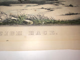 Original Currier & Ives Print The Sleigh Race #90 New Best 50