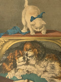 Original Currier Ives Print Mischievous Little Kittie