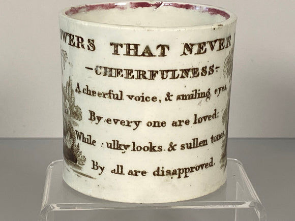 Staffordshire Children’s Mug Flowers That Never Fade - Cheerfulness BB#106