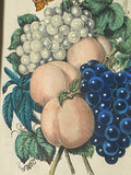 PB5 Original Currier & Ives Print “Peaches And Grapes - First Prize