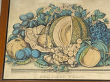 PB6 Original Currier & Ives Print “Delicious Fruit”