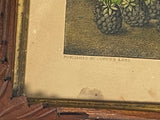 PB6 Original Currier & Ives Print “Fruit Autumn Varieties”