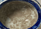Historical Staffordshire Blue Passaic Falls State of New Jersey Gravy Tureen