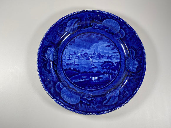 Historical Staffordshire Dark Blue Plate City Of Albany By Wood LNRP5