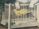 Original Currier & Ives Type Print Hunting Cat Kitty Canary