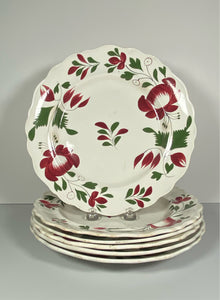 Staffordshire Set Of 6 Early Adam’s Rose Dinner Plates