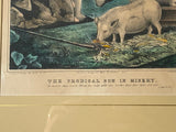 PB6 Original Currier & Ives Type Print Kellogg Prodigal Son In Misery