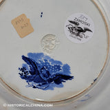 Arms of New York State 10" Plate Historical Blue Staffordshire ZAM-337