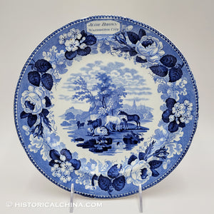 Jesse Brown Scenery Washington DC Historical Blue Staffordshire ZAM-319