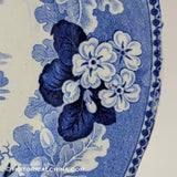 Jesse Brown Scenery Washington DC Historical Blue Staffordshire ZAM-319
